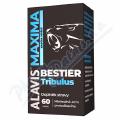 Alavis MAXIMA Bestier Tribulus 60 kapsl