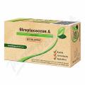 VITAMIN STATION Rychlotest Streptococcus A